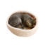Sac de transport pour animaux Space Capsule-91683124