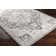 Hodder Oriental Indoor Rug