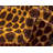 Arabica Abstract Indoor Rug