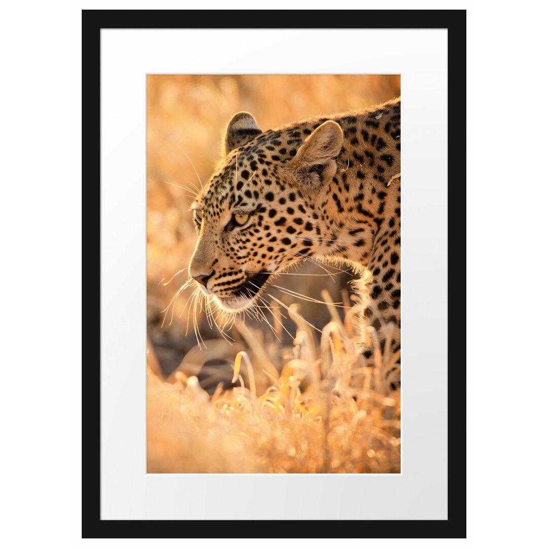 Gerahmtes Poster Jagender Leopard