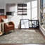 Wool Oriental Area Rug in Brown-1449905387