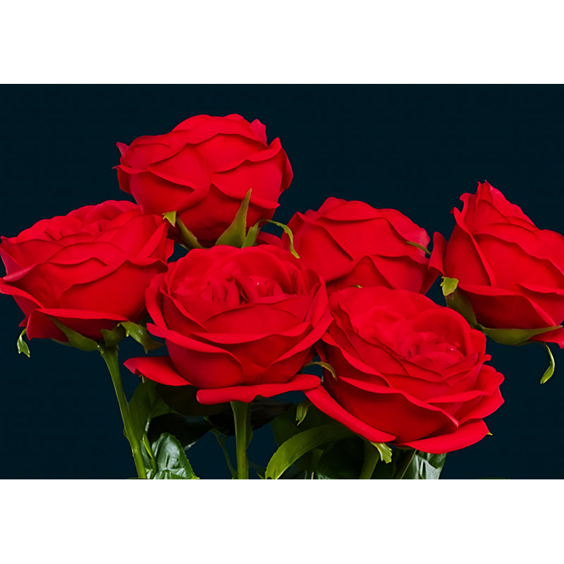 Rose Arrangement, Red