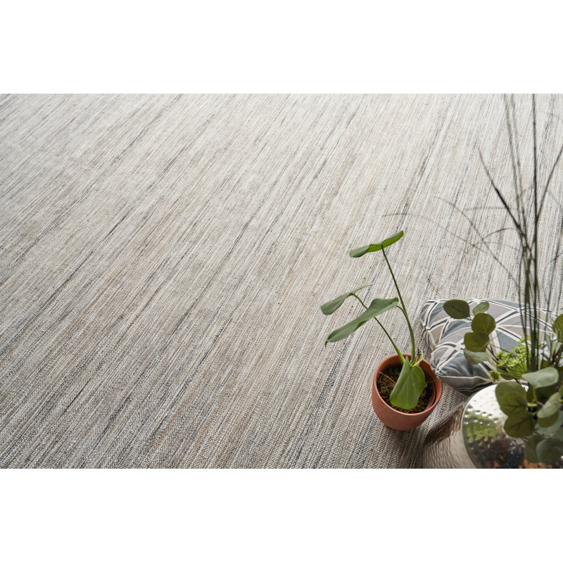 Kashmir Area Rug in Light Taupe, Rectangle 6' x 9'