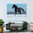Brampt Purebred Spanish Horse-108908991