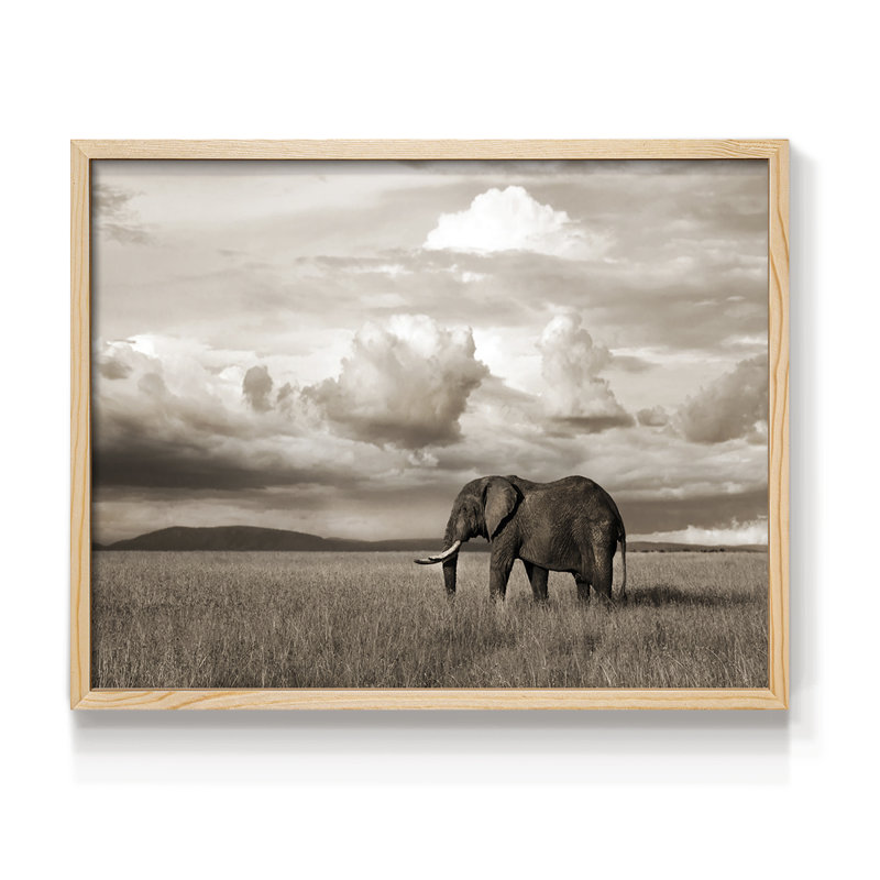 Maasai Majesty Sepia -Framed Print - Restickable, Naturel, H 11 po x l 14 po