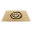 Oyler Non-Slip Outdoor Doormat