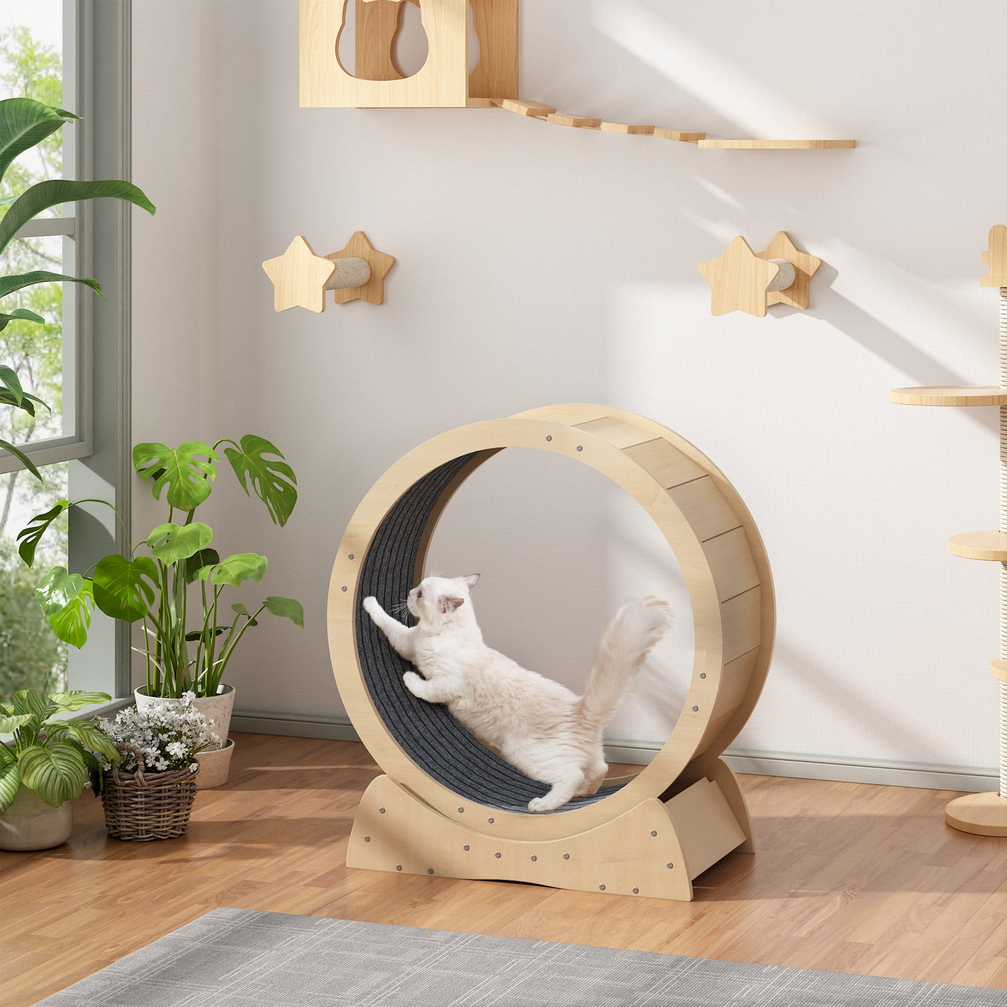 Reheyre Cat Exercise Wheel, Cat Running Wheel With Locking Mechanism