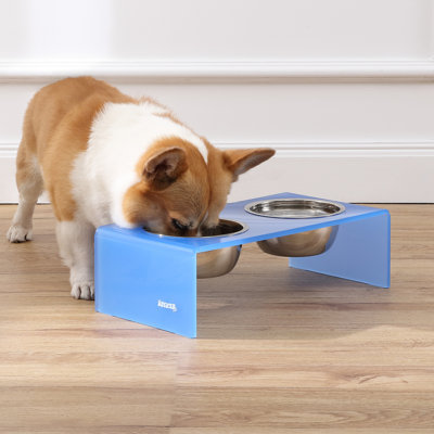 Keaton Modern Lucite Rectangular Elevated Pet Feeder with 2-Stainless Steel Bowls