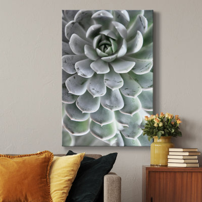 Zen Succulent IV - reproduction de photo sur toile tendue