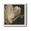 «Classical Blooms I», art mural sur toile-62718717-62718720