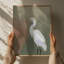 Elegant Egret Portrait by Josie George — Animal Wall Art-1170639894-1170639902-1170639911