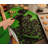 Ukonic Polyester Potholder & Oven Mitt Set