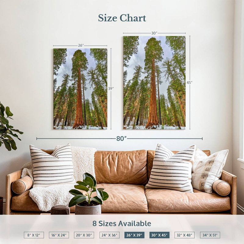 Harnek Giant Sequoia Grove, 39" H x 26" W