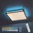Flush Mounted Ceiling Light Single Flame-69308618