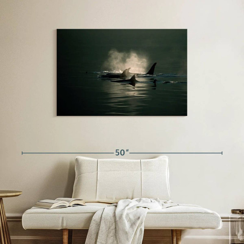 Brampt Orca Whale Pod, 26" H x 39" W