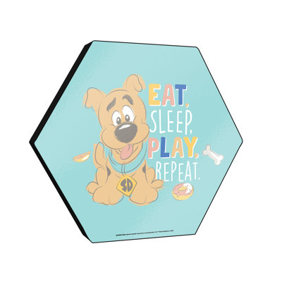 Scooby-Doo (Eat Sleep Play) Knexagon Wood Print
