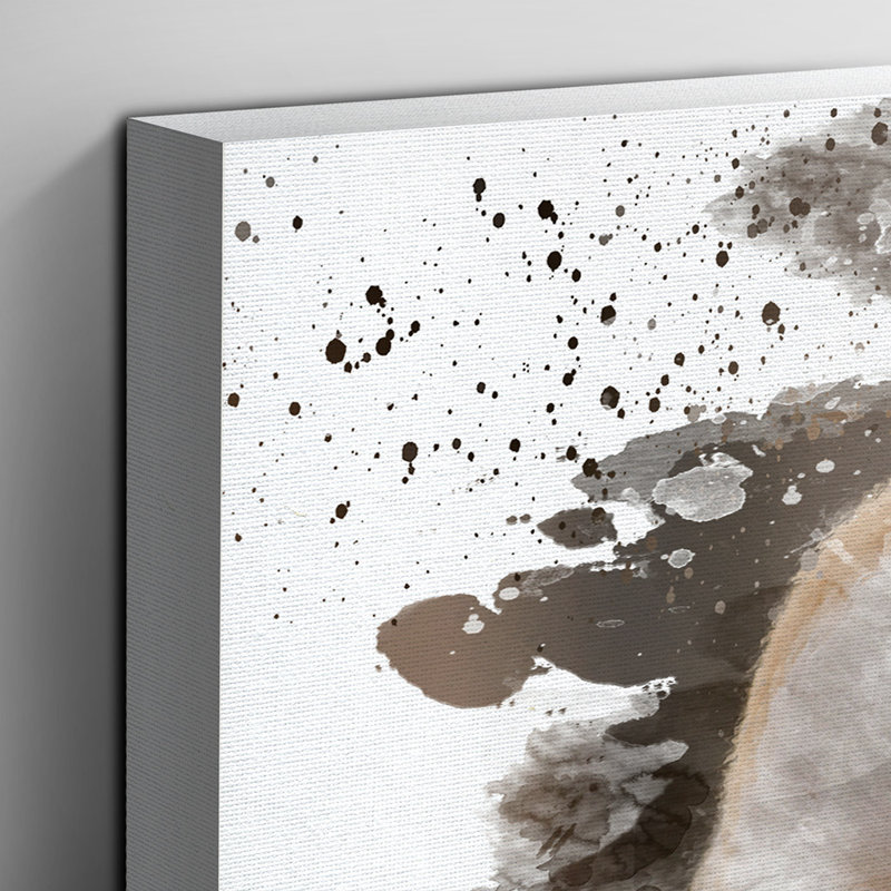 Barn Owl - Wall Art, 35cm H x 50cm W, Wrapped Canvas