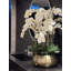 Centre de table orchidée phalaenopsis dans un vase-276723856