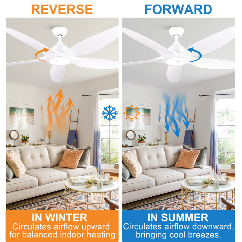 Dainius 60'' Ceiling Fan with LED Lights, White