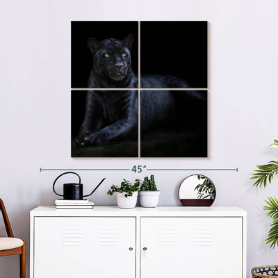 Jaguar noir Brampt
