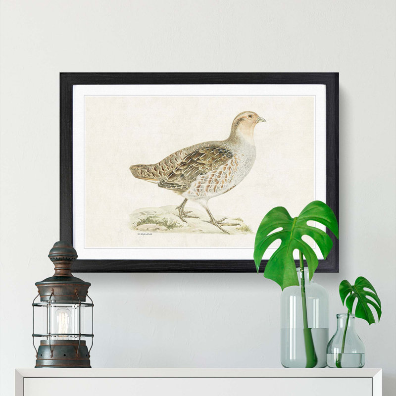 Grey Partridge by Von Wright - Picture Frame Painting Print, 36cm H x 48cm W x 2cm D, Black Framed