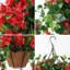Panier à fleurs artificiel à suspendre pour la décoration extérieure-642687660