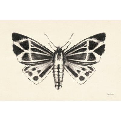Moth III - peinture sur toile tendue