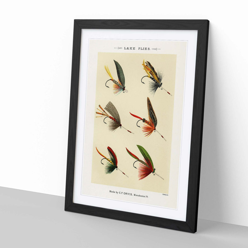 Lake Fishing Flies Version 2 by Mary Orvis Marbury - Picture Frame Painting Print, 60cm H x 40cm W x 2cm D, Black