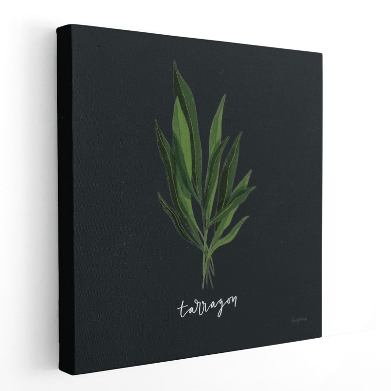 «Herbs V Black», reproduction d'art sur toile, H 24 po x l 24 po