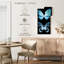 Miss Butterfly X-Ray - noir-1236669074