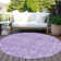 Machine Washable Indoor/Outdoor Segin ACN1133 Plum Rug