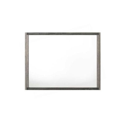 Jehoram Gray Finish Mirror (INCLUDES MIRROR ONLY)