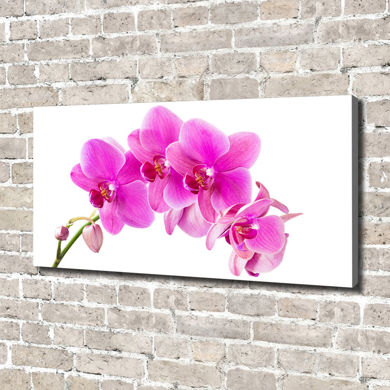 Pink Orchid - No Frame Print, 70cm H x 140cm W, Canvas