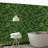 2 ft. H x 2 ft. W Artificial Topiary Polyethylene Privacy Screen