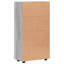 Sideboard Accent Chest-1354756332