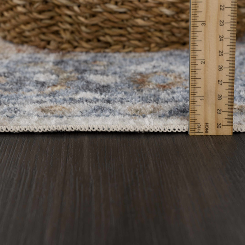 Eriyana Oriental Indoor Rug, Rectangle 5'3" x 7'