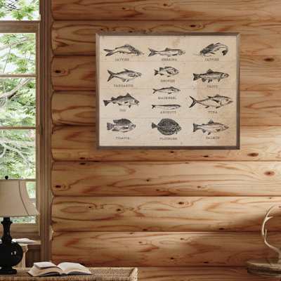 Fish Species