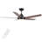 Modern 48''/56'' 5-Blade LED Standard Indoor Ceiling Fan with Remote Control and Light Kit Included-452111344-452111350