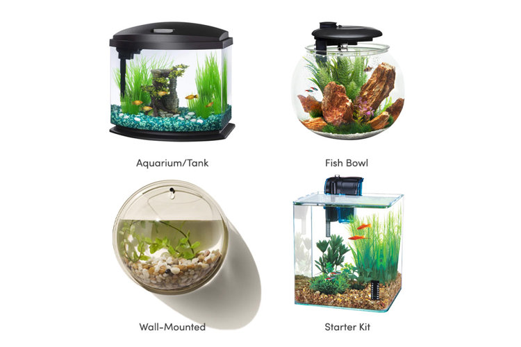 What Size Fish Tank Should I Get