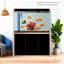 Aquarium moderne en verre écologique ultra transparent-1478291067-1478291064
