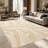 1PC Abstract Beige Organic Swirl Pattern area rugs for Living Room, Soft and Comfortable, Suitable for all seasons, easy-to-maintain, machine washable Indoor floor mat, Under Table Farmhouse suitable for dining table, bedroom, entryway, kitchen,-129934682