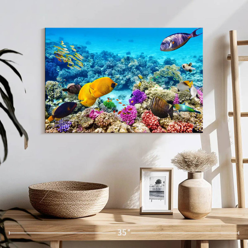 Ocean life Aletra, H 16 po x l 24 po
