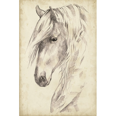Croquis de portrait de cheval II