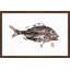 Andrew Clay - Single Picture Frame Print-20604553