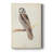 Canada Owl -Custom Wrapped Gallery Cavas-1695416501