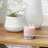 Signature Pink Sands Scented Candle-99400331