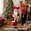 Santa Claus Christmas Decoration