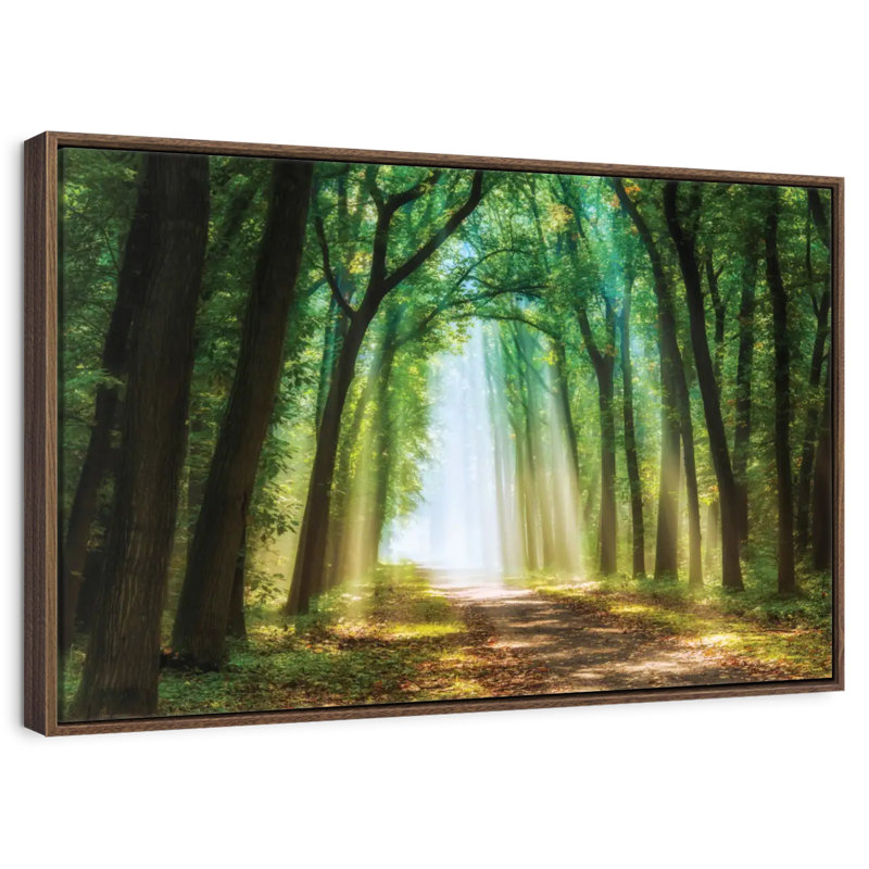 Rideau de lumière, 43 po x 29 po, Cadre flottant noyer