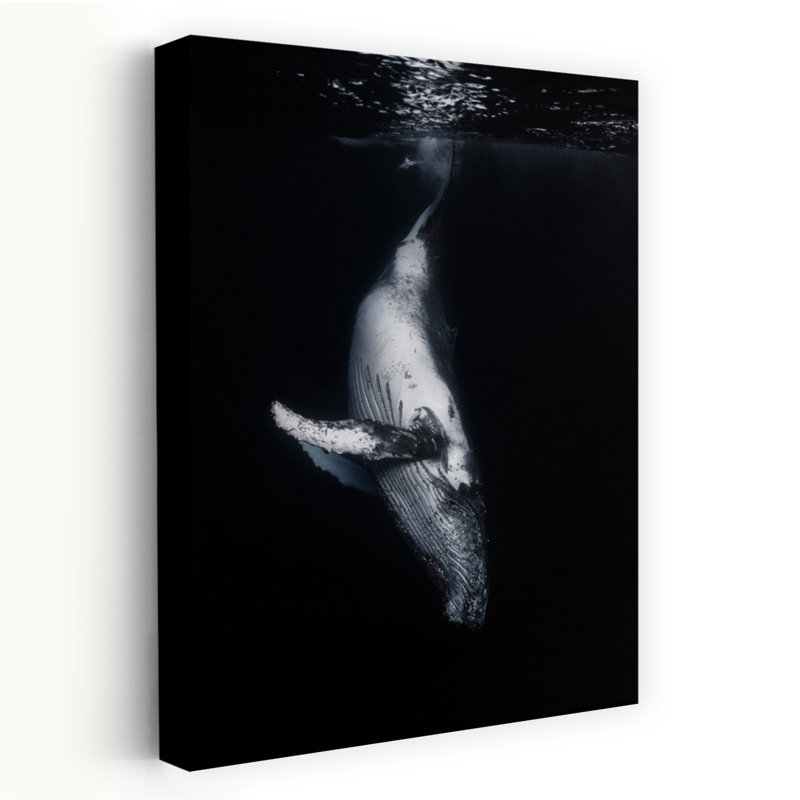 Art contemporain, art contemporain, baleine, H 48 po x l 32 po