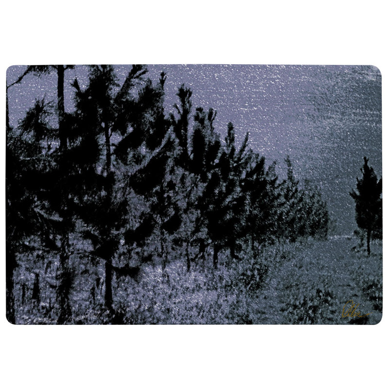 Meadowbrook Shag Area Rug, Rectangle 60 x 110cm